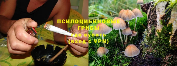 СК Волоколамск